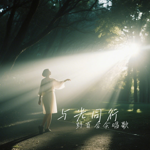 与光同行
