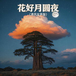 花好月圆夜(港风女声版)