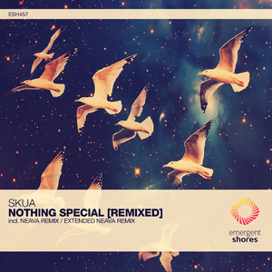 Nothing Special (Extended Neava Remix)