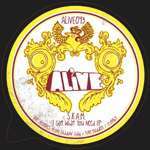 I Got What You Need (Shadow Child Freakmix)