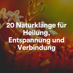 Kollaborative Natur