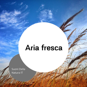 Produttività e creatività (Onde del mare)