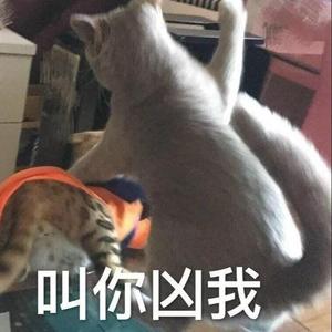 彩虹下面