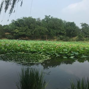 浪漫主义(个人娱乐)