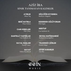 Hayat (feat. Zekine Karaköcek)