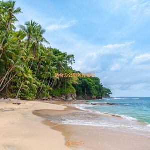 适合办公事务轻音乐