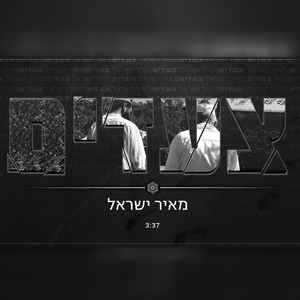 צעדים