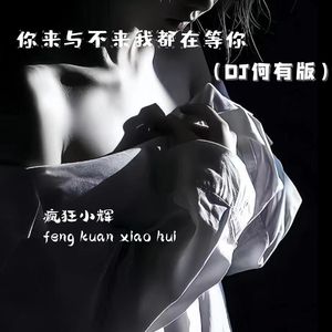 你来与不来我都在等你(DJ小辉版)