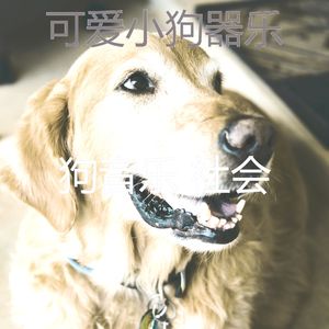 抚慰的训练犬回忆