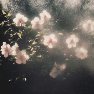 希望你天天开心