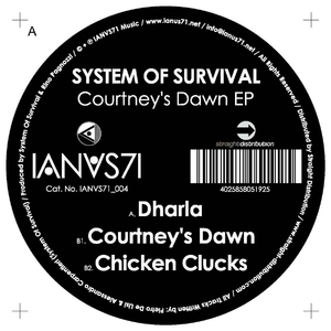 Courtney's Dawn