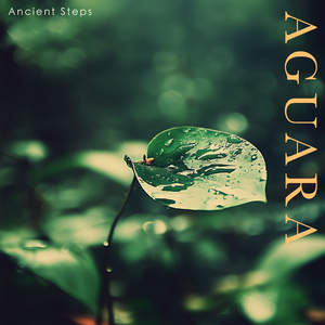 Ancient Steps