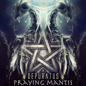 Lunar Chrysalis (205)