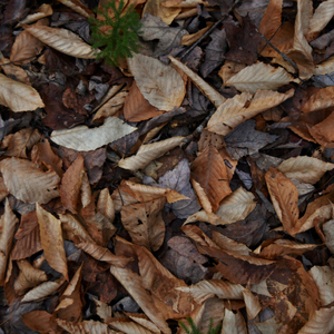생각의 온기 생각의 온기