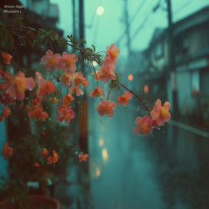 Winter Night