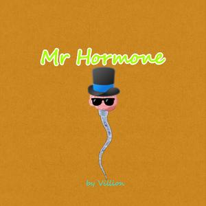 荷尔蒙先生 伴奏