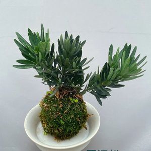 《大提琴与钢琴的舒缓对话》044