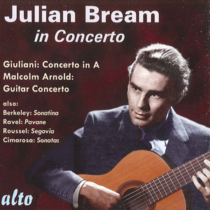 Guitar Concerto, Op. 67:I. Allegro