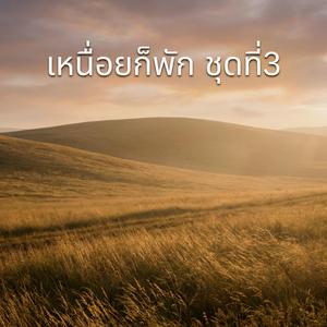 ไม่รักก็บอกกัน