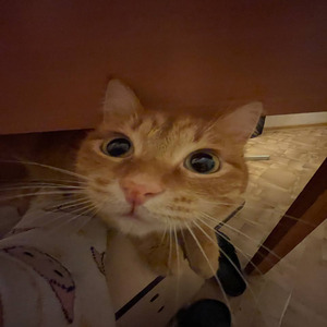 Кэш