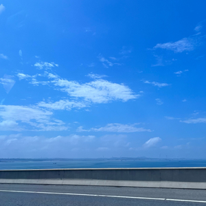 她不会永远的爱着我