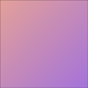 RNP (Cover)