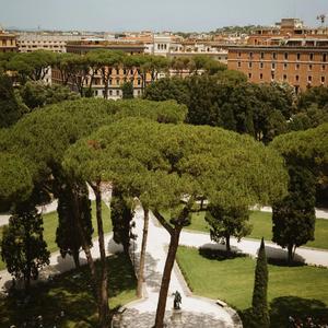 Window Seat Confession I