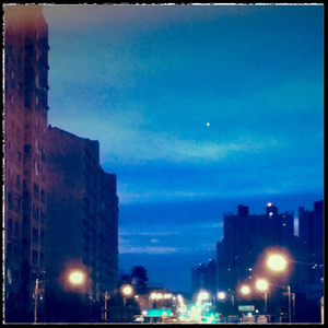 Flightlessness