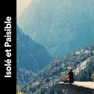 Sleep Outside in the Woods