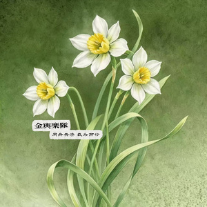 水中仙——Narcissa（demo）.wav