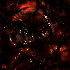 Antibody