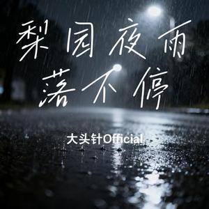 梨园夜雨落不停