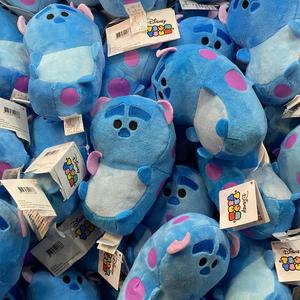 少爷 (Master Pupil)