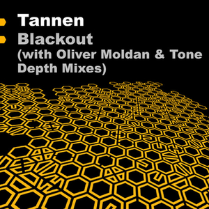 Blackout (Oliver Moldan Remix)