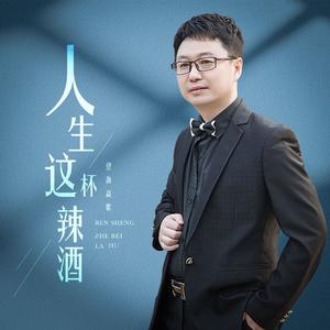 人生这杯辣酒（DJ月之歌版）