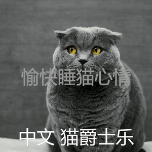 抚慰的猫在家回忆