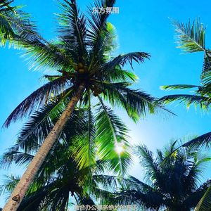 办公室工作爵士