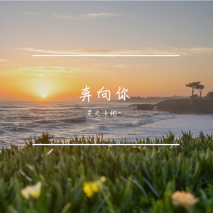 奔向你