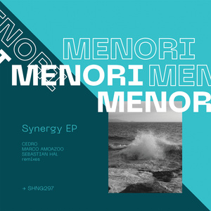 Numinous (Sebastian Hal remix)