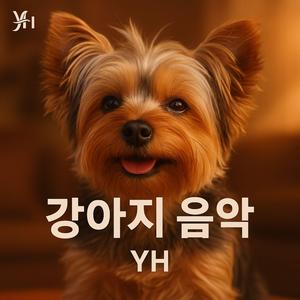 놀아줘! 안그러면 삐질꺼야
