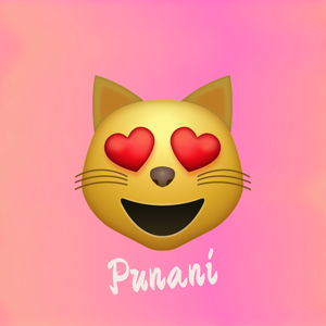 Sxbz - Punani