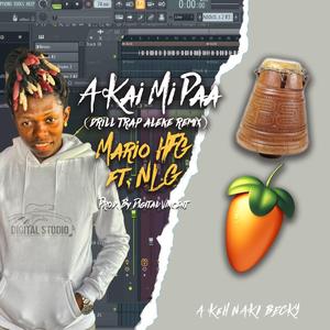 A Kai Mi Paa (feat. Mario HFG & NLG)