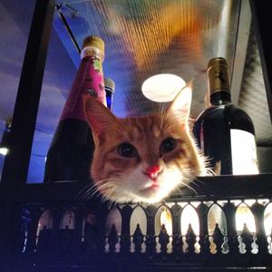 Be Quiet and Drive (Far Away)