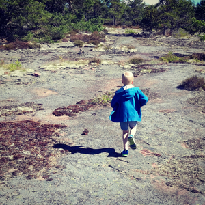 The Catastrophist (Hold Me Close)