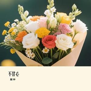 心中的太阳 (星华 Remix)