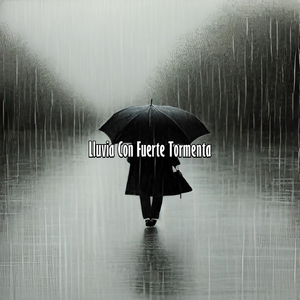 Sonido de la Lluvia Recia