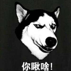 你瞅啥【prod by.Slim Dyane】