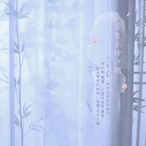 蓑衣（特效版）