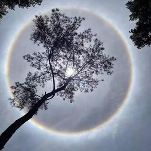 我是一个学生今年16岁