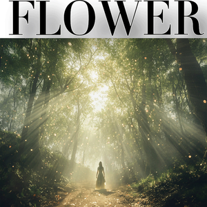 Forest Dawn 森林晨曦